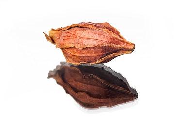 Bethesda公布：《辐射76》玩家人数达1350万